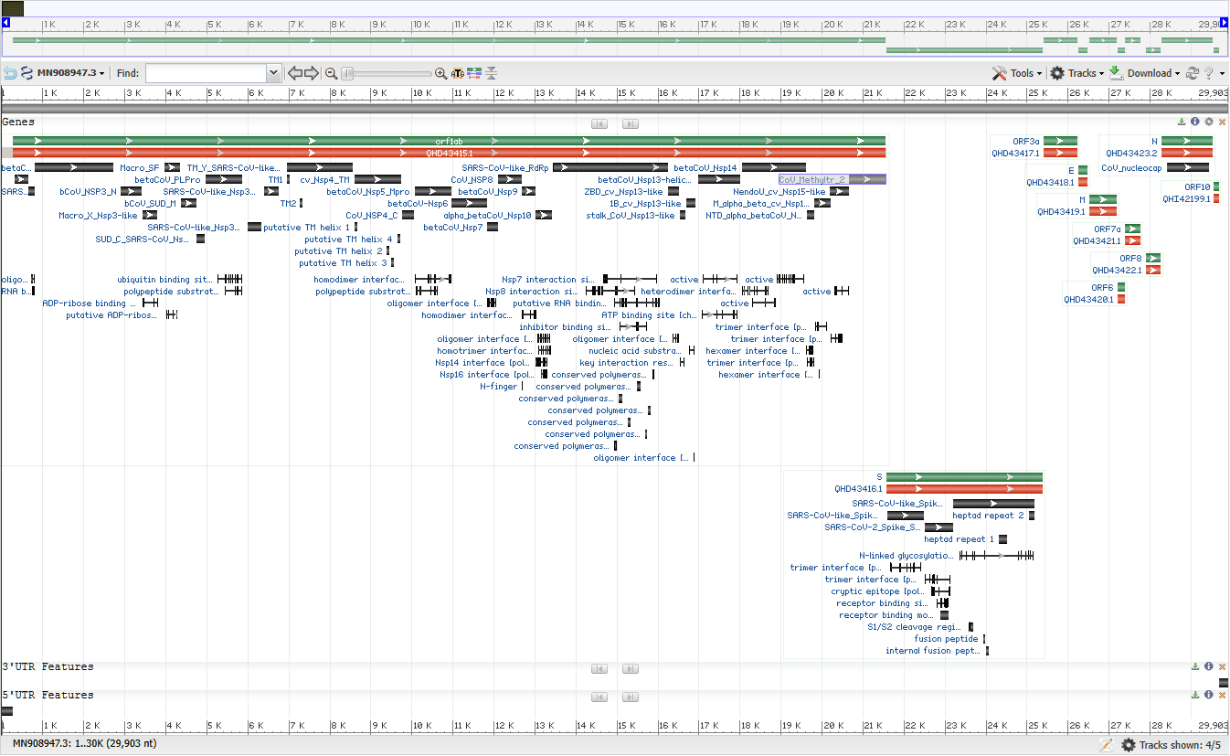 Novo coronavírus é identificado e sequenciado